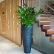 Interior Interior Office Plants Perfect On Intended Indoor For I Weup Co 27 Interior Office Plants