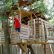 Home Kids Tree Houses With Zip Line Exquisite On Home Intended 26 Best Play House Inspiration Images Pinterest Backyard 13 Kids Tree Houses With Zip Line
