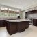 Kitchen Designs Dark Cabinets Excellent On And 46 Kitchens With Black Pictures 4