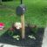 Other Landscaping Around Mailbox Post Innovative On Other Inside Mail Box Landscape Best Images Ideas 20 Landscaping Around Mailbox Post