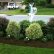 Other Landscaping Around Mailbox Post Modest On Other Pertaining To Behind 17 Landscaping Around Mailbox Post