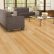 Floor Light Wood Floor Living Room Exquisite On Natural Colors Flooring Ideas 23 Light Wood Floor Living Room