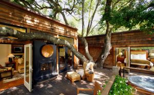 Luxury Tree House Resort