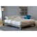 Metal Twin Platform Bed Contemporary On Bedroom In Amazon Com Aura Champagne Gray Comes 4
