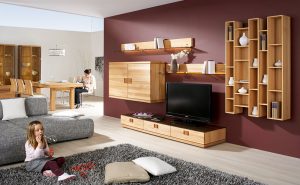 New Design Living Room Furniture