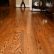 Floor Oak Hardwood Floor Stunning On Intended For Red Flooring Floors Queen City Hardwoods 10 Oak Hardwood Floor