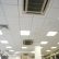 Office Office Ceilings Modest On Articles With Ceiling Tiles Home Depot Label Various 19 Office Ceilings