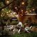 Home Outdoor Patio String Lighting Ideas Imposing On Home Intended 9 Stunning For Globe Lights The Garden Glove 28 Outdoor Patio String Lighting Ideas