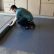 Rubber Floor Mats Garage Unique On Regarding 75 In Creative Home Design Trend With 1