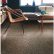 Floor Shag Carpet Tiles Remarkable On Floor Throughout Flor A Little Of This Pewter Dune Closet Makeover Project 29 Shag Carpet Tiles
