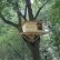 Other Simple Tree Fort Designs Beautiful On Other Pertaining To Small House Plans HANDGUNSBAND DESIGNS Awesome 16 Simple Tree Fort Designs
