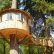 Other Simple Tree Fort Designs Modern On Other Pertaining To Circular Design With Bridge And Ladder Dream Rides Pinterest 20 Simple Tree Fort Designs