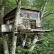  Simple Tree House Designs Charming On Home Treehouse Wooden Global 11 Simple Tree House Designs