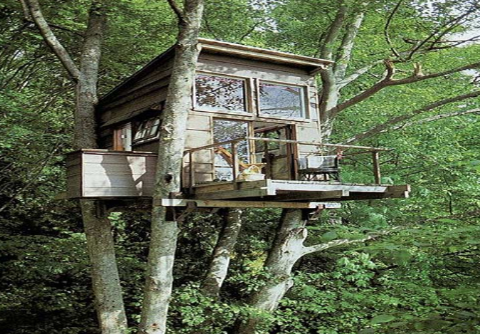  Simple Tree House Designs Charming On Home Treehouse Wooden Global 11 Simple Tree House Designs