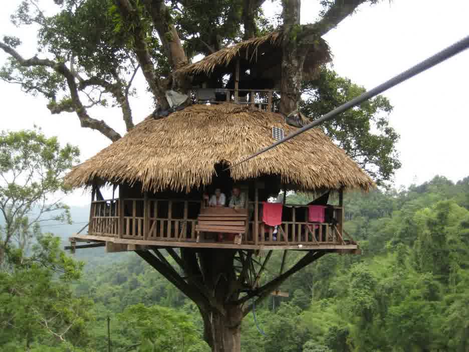  Simple Tree House Designs Charming On Home With Traditional Plans BEST HOUSE DESIGN Awesome 18 Simple Tree House Designs