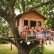 Home Tree House Beautiful On Home And Stock Photos Pictures Getty Images 13 Tree House