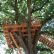 Home Tree House Blueprints For Kids Contemporary On Home Throughout Small T Pcok Co 24 Tree House Blueprints For Kids