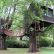 Tree House Blueprints For Kids Creative On Home Pertaining To Plans Best 25 Designs Ideas Pinterest 2