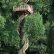 Home Tree House Excellent On Home In Castles UFOs And Private Jets 23 Unbelievable Treehouses That Are 28 Tree House