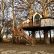 Home Tree House Marvelous On Home For Treehouse Masters Nelson 26 Tree House