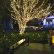 Tree Lighting Ideas Astonishing On Other In Outdoor Designs 5