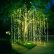 Other Tree Lighting Ideas Astonishing On Other Pertaining To Outdoor By Having The Lights At Ground Level 9 Tree Lighting Ideas