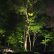 Tree Lighting Ideas Contemporary On Other And Http Www Com Outdoor Lights Htm 4