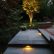 Tree Lighting Ideas Creative On Other For Beautiful Backyard That Will Fascinate You 1