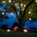 Tree Lighting Ideas Excellent On Other With Regard To Landscape Design Outdoor Event 2