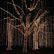 Other Tree Lighting Ideas Fine On Other Regarding Outdoor Modernriverside Com 26 Tree Lighting Ideas