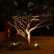 Other Tree Lighting Ideas Incredible On Other And Outdoor 8 Tree Lighting Ideas