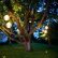 Other Tree Lighting Ideas Lovely On Other And Hanging Lights Outdoor For Trees Light Gallery 20 Tree Lighting Ideas