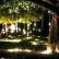 Other Tree Lighting Ideas Marvelous On Other In Hanging Outdoor Lights 29 Tree Lighting Ideas