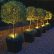 Other Tree Lighting Ideas Modern On Other Within Beautiful Backyard That Will Fascinate You 0 Tree Lighting Ideas