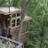 Treehouse Masters Tree Houses Impressive On Home Throughout Pete Nelson Of The World S Coolest Treehouses 4