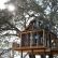Home Treehouse Masters Tree Houses Nice On Home Regarding TV Tonight Builds Hill Country Hideout San 14 Treehouse Masters Tree Houses