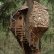 Other Treehouse Masters Treehouses Modest On Other Pertaining To Janet St Paul Studio S Loves 21 Treehouse Masters Treehouses