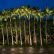 Other Tropical Outdoor Lighting Contemporary On Other Intended Palm Tree Landscape Maui 14 Tropical Outdoor Lighting