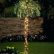 Other Tropical Outdoor Lighting Stylish On Other Inside Palm Tree Led Lights Light Up 16 Tropical Outdoor Lighting