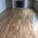 Floor White Oak Hardwood Floor Imposing On Inside Brilliant Flooring For Crafters Boulder Plans 11 27 White Oak Hardwood Floor