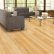 Floor Wood Floor Room Lovely On Throughout Light Color Hardwood Floors Colors Variations For Your 29 Wood Floor Room