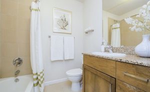 Bathroom Design Tips And Ideas