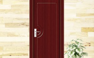 Bathroom Doors Design