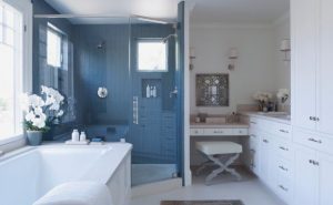 Bathroom Remodel Blue