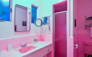 Blue And Pink Bathroom Designs
