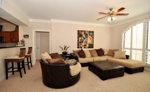 Brown And Black Living Room Ideas