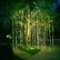 Other Christmas Lighting Ideas Astonishing On Other Within Top 46 Outdoor Illuminate The Holiday 21 Christmas Lighting Ideas