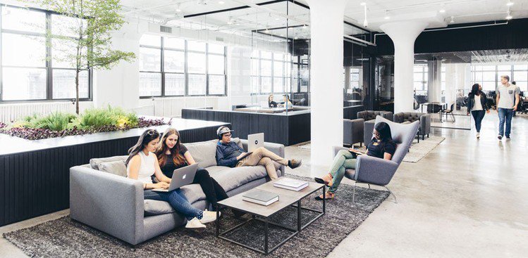 Office Cool Office Creative On 18 Companies With Spaces The Muse 0 Cool Office
