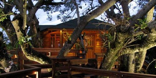 Home Cool Tree Houses Designs Modern On Home Intended 10 Best Treehouse Plans And Coolest Ever 0 Cool Tree Houses Designs