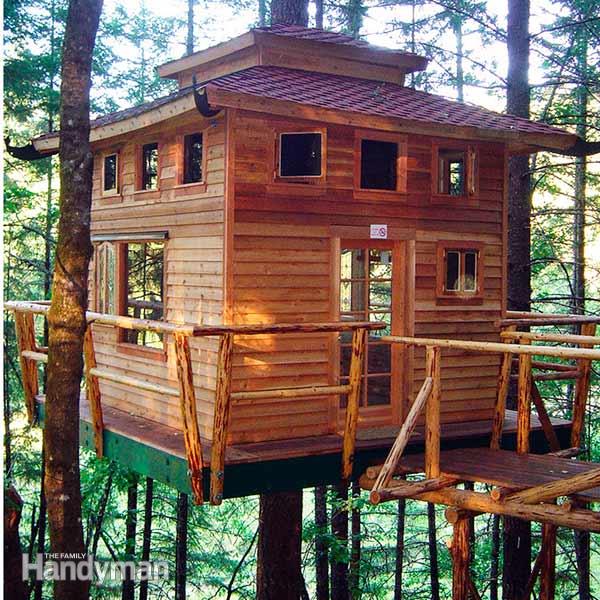 Home Cool Tree Houses To Build Modern On Home Within How A House Building Tips The Family Handyman 0 Cool Tree Houses To Build